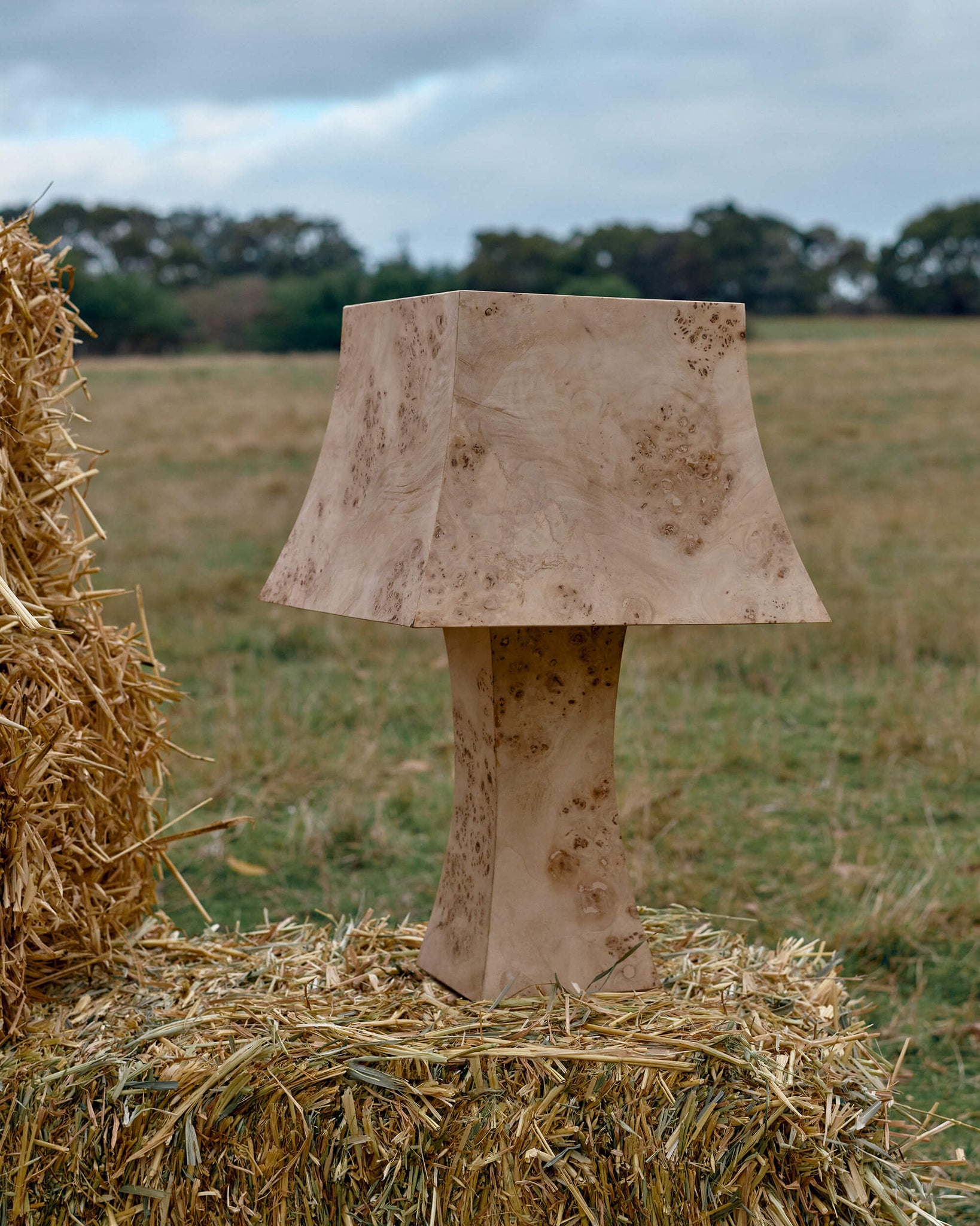 Load image into Gallery viewer, Burlie Lamp